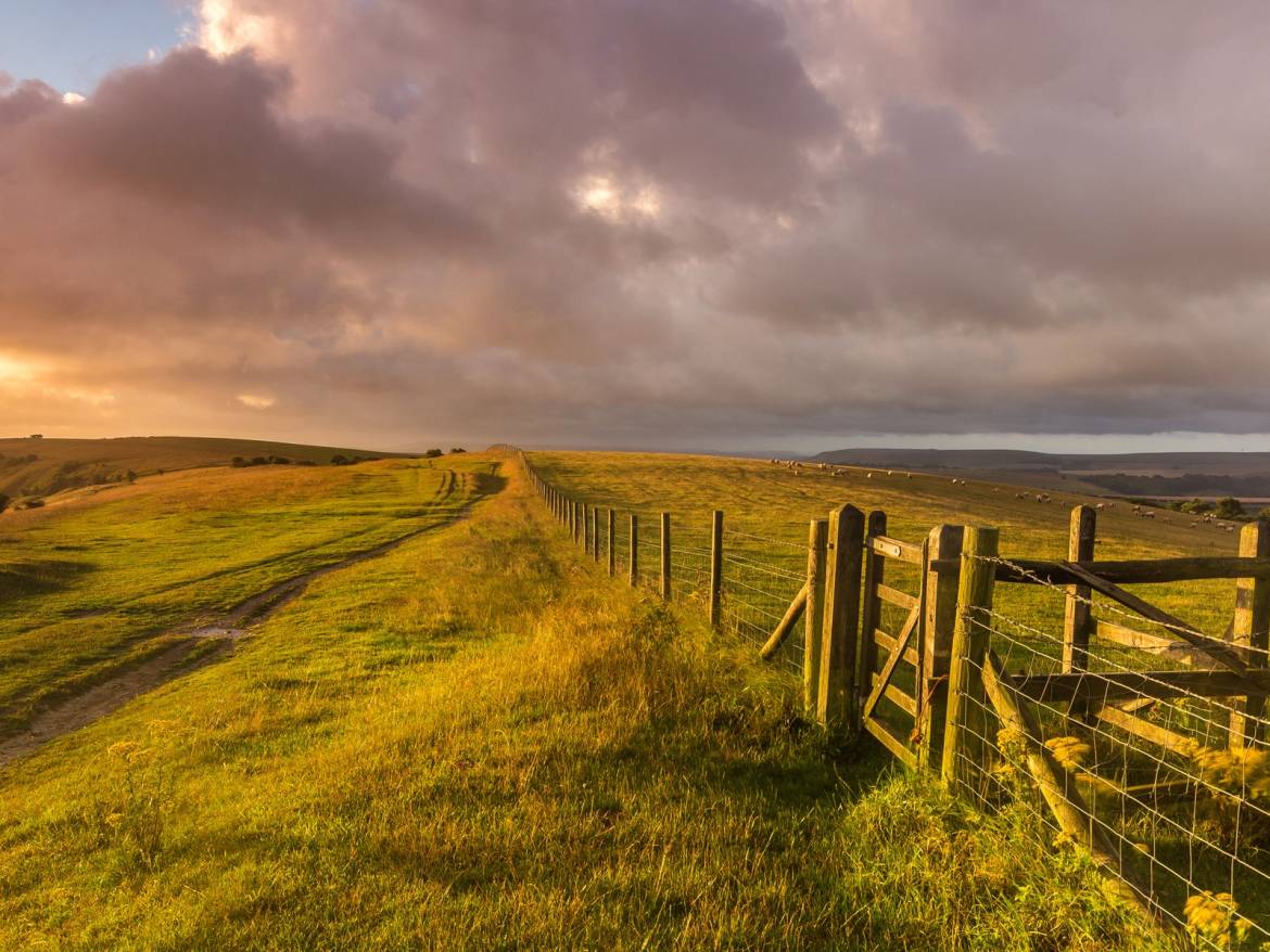 West-Sussex-England-landscape-grass-fence-farm-sheep_1600x1200.jpg